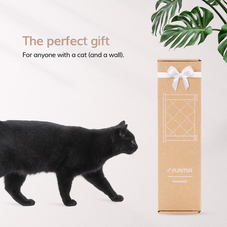 Wall Mounted Cat Shelf