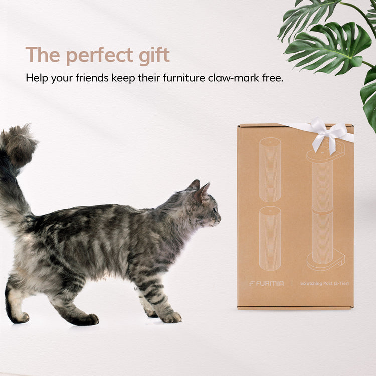 Wall Mounted Cat Tree