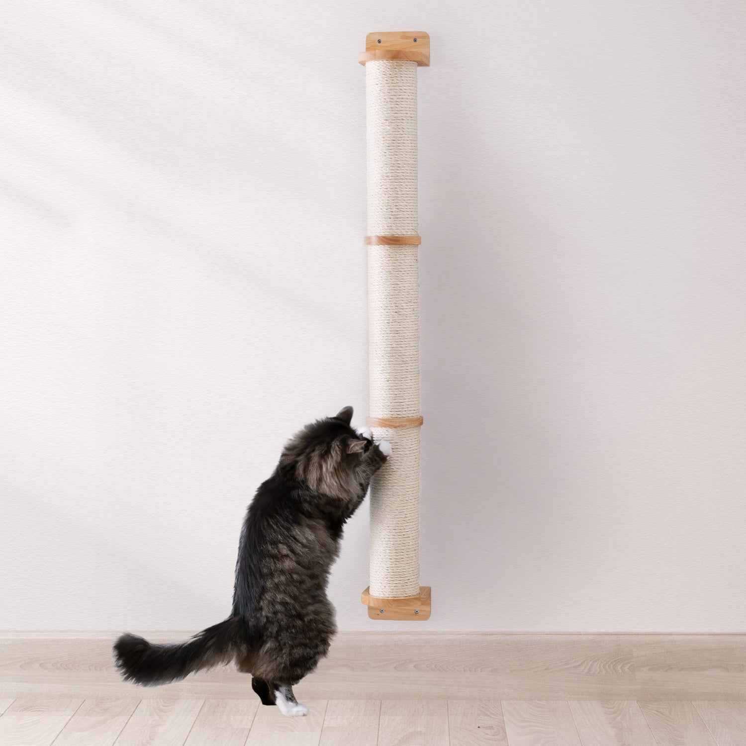 Wall Mounted Cat Scratching Post