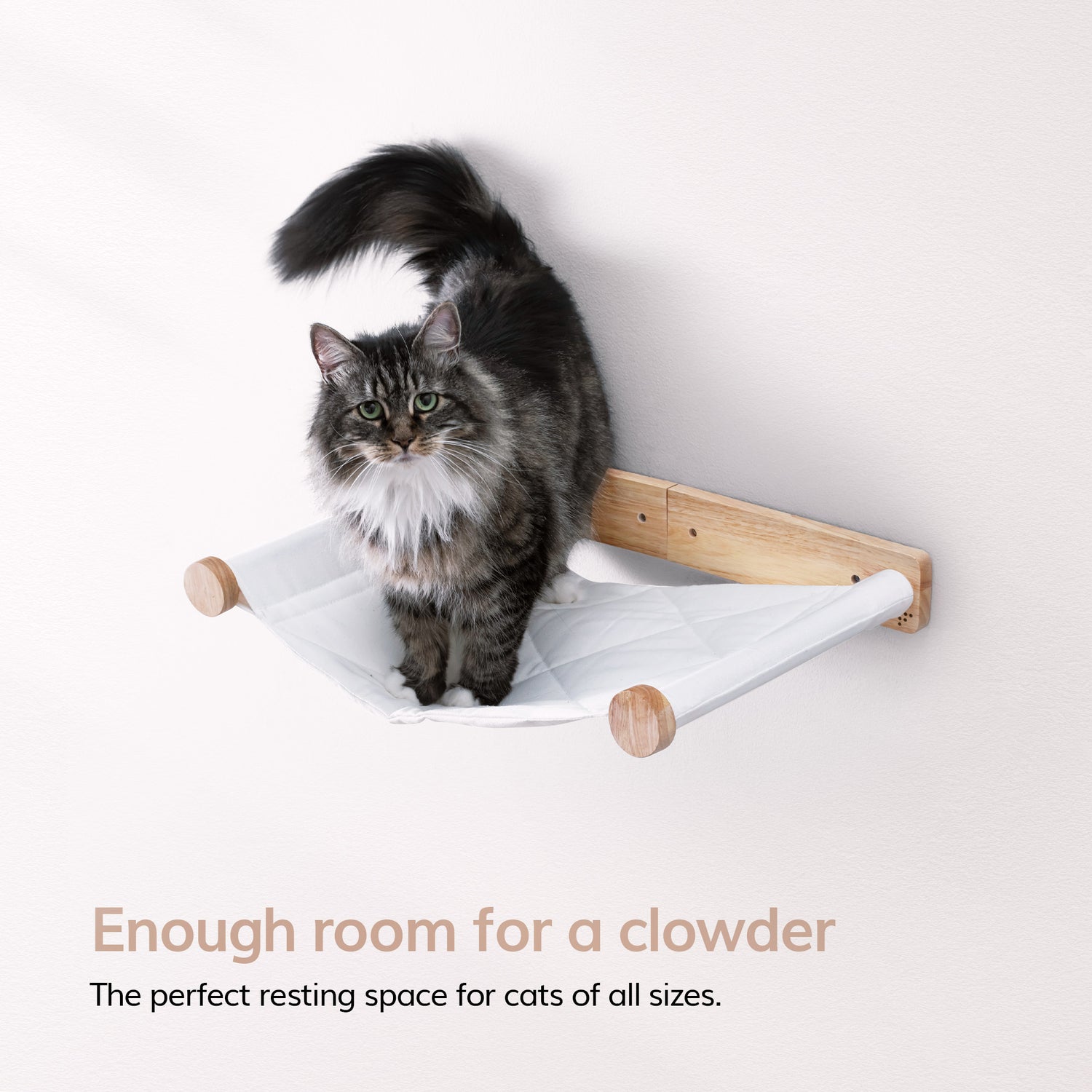 Cat Shelves For Wall Cat Hammock Wall Mounted, Kitty Beds And